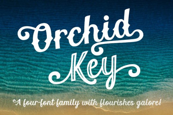 How Orchid Key Transformed My Brand’s Visual Identity