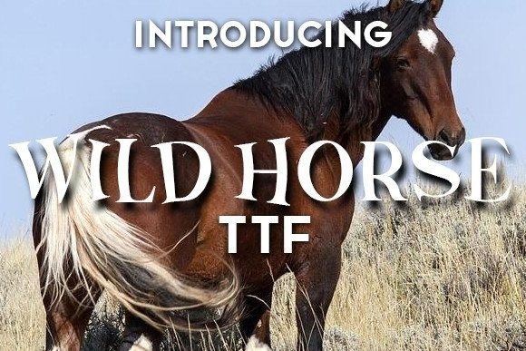 Wild Horse Font Review for Bold Branding